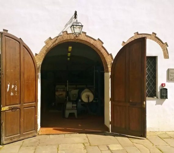 Rosmarino