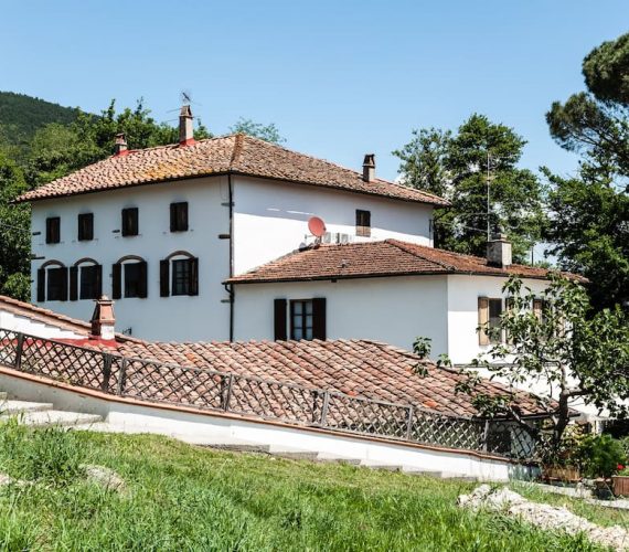 Rosmarino
