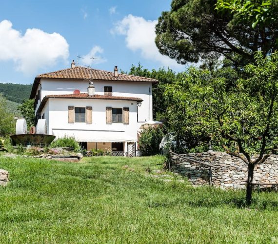 Rosmarino